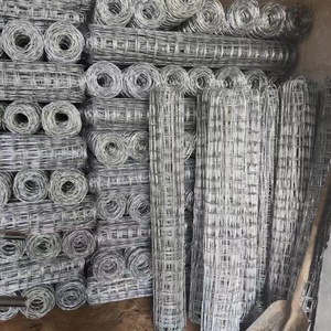 大同經緯網哪家公司好