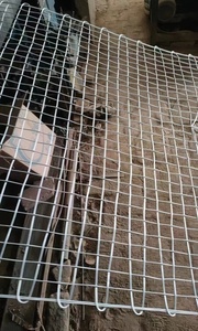 大同經緯網價格