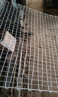 大同經緯網價格